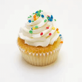 Vanilla Cupcake
